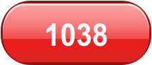 1038