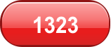 1323