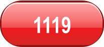1119