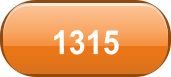 1315